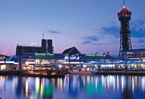 【庭】 | エンクレスト天神LINK