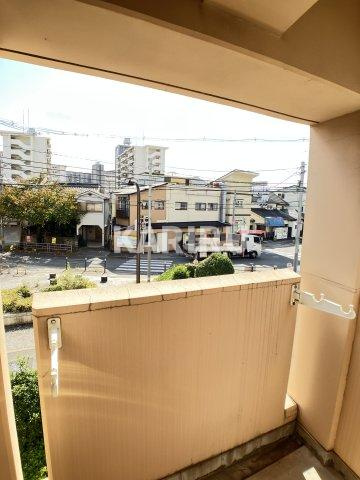 ＣＯＵＲＴＨＯＵＳＥのその他