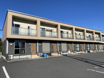 フェニックス麻の画像