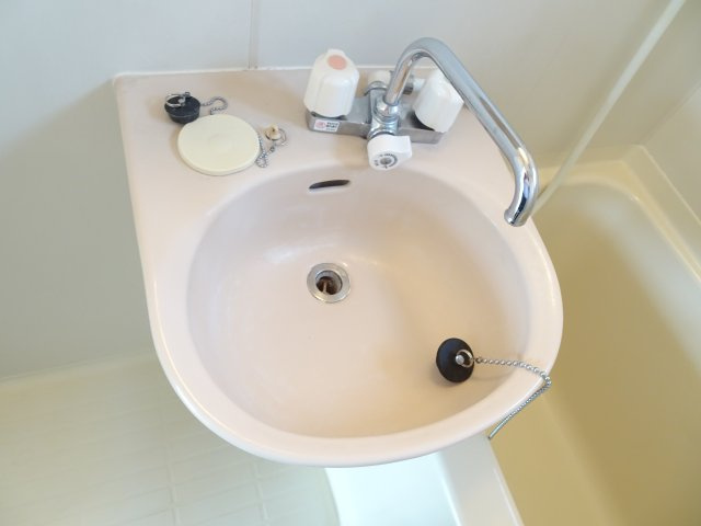 コーポ坂本の洗面所