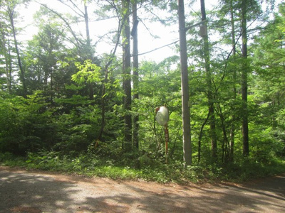 【外観】 | 塩嶺高原別荘 売地62 | 外観