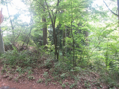 【外観】 | 塩嶺高原別荘 売地62 | 外観