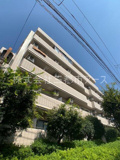 エンジェルス守屋の画像