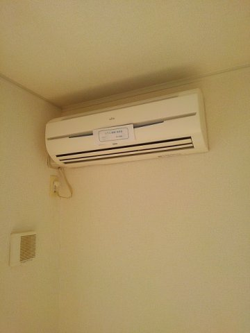 プリムローズ　Ｄのその他