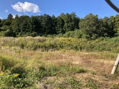 【外観】 | 根小屋字檜山貸地