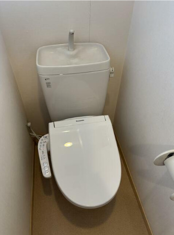 熊本市南区御幸笛田４丁目の賃貸マンションのトイレ