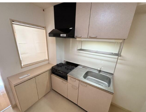 熊本市南区御幸笛田４丁目の賃貸マンションのキッチン
