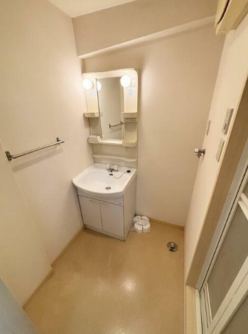 熊本市南区御幸笛田４丁目の賃貸マンションの独立洗面台