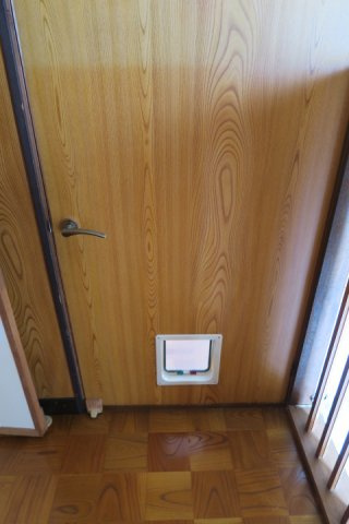 藤塚中古住宅の内装|ペットの入口があります。