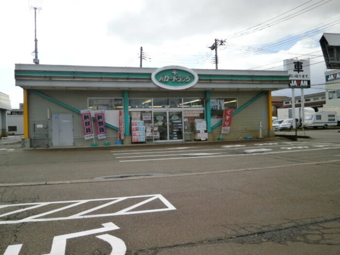 ステラの周辺