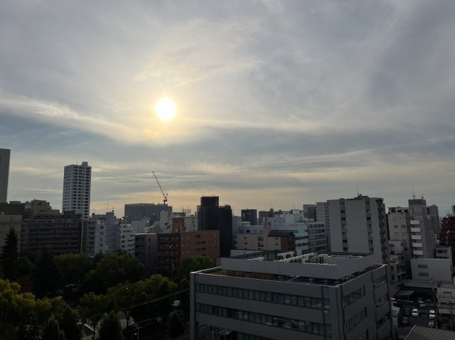 ライオンズマンション金山第2の展望|ライオンズマンション金山第2