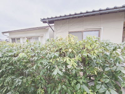 【展望】 | メゾンサンチュール