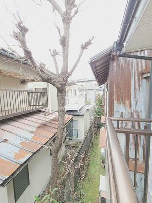 【その他】 | メゾンサンチュール