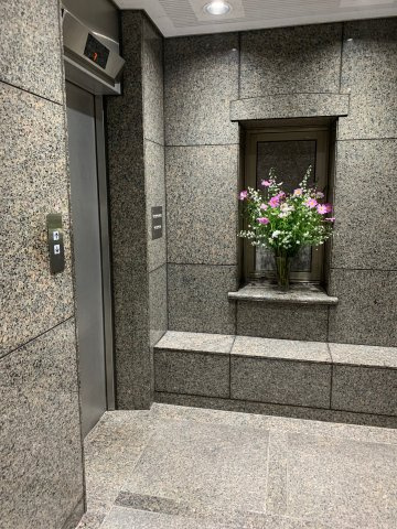 日本橋ＤＯＬＬ－３