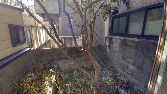 尼崎市大西町　中古戸建の庭