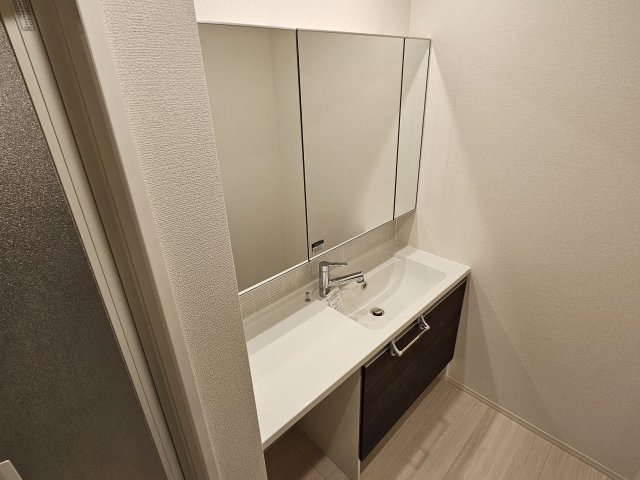 エムライズ大蔵中町の洗面所