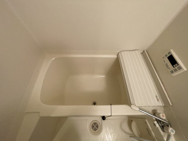 アプリーコ大池の浴室
