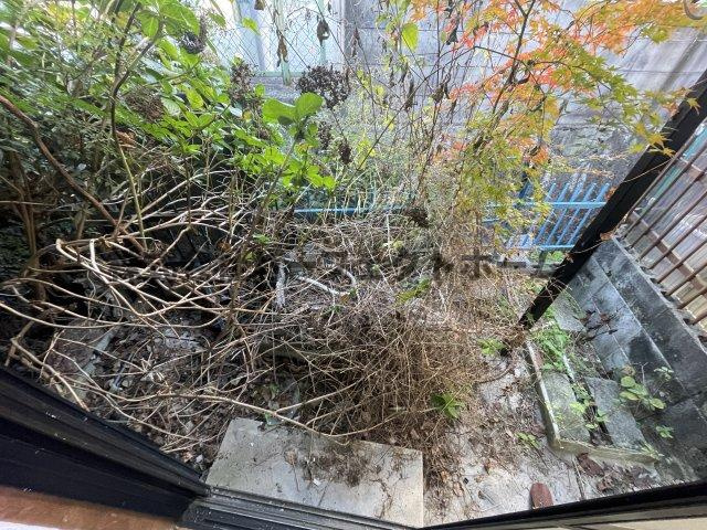 藤阪元町3丁目戸建　賃貸の庭|お庭の付いた物件です