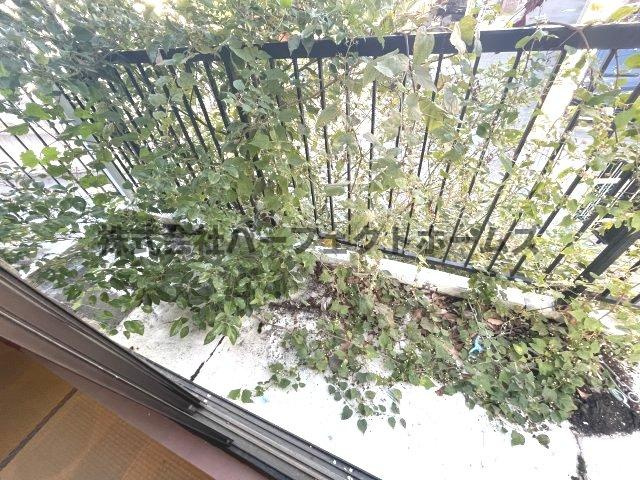 藤阪元町3丁目戸建　賃貸のバルコニー|広々としたバルコニーです