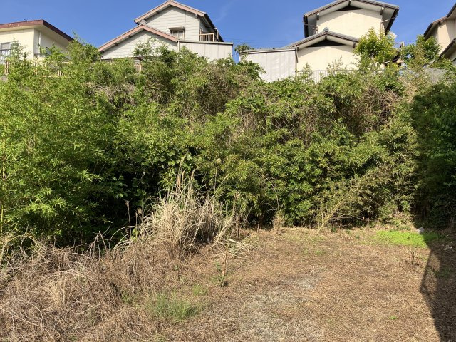 常滑市青海町1丁目の外観|６１番　東側崖