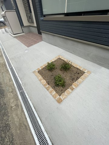 FaseciaTonoのその他