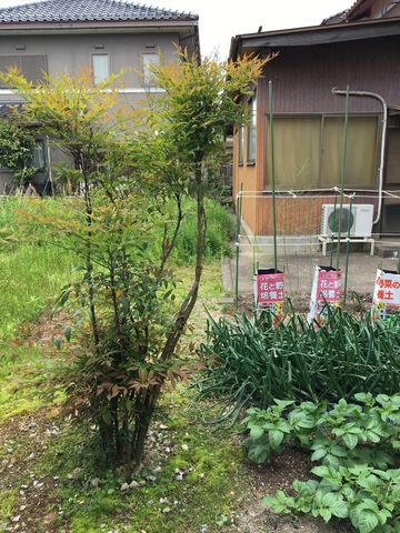 百合地　売土地　61.47坪の外観|外観写真