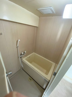 【洗面所】 | エクセルコート向丘