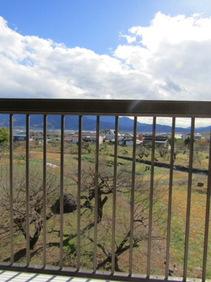 【展望】 | 【再生住宅】倉庫付き　南アルプス市川上 | 眺望