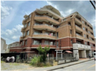 スターロワイヤル調布の画像