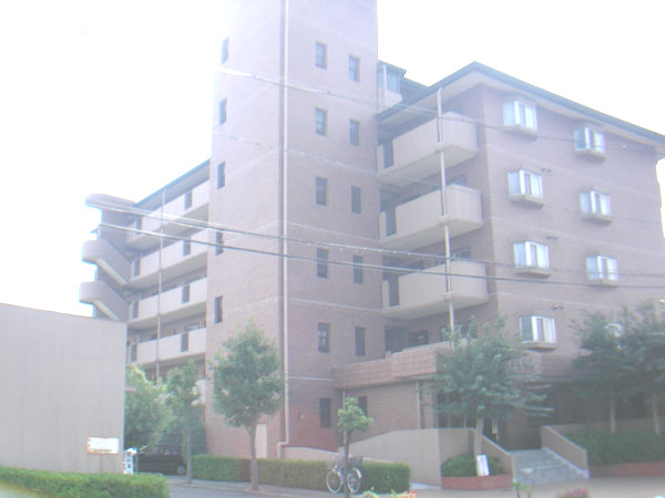 パストラル羽衣