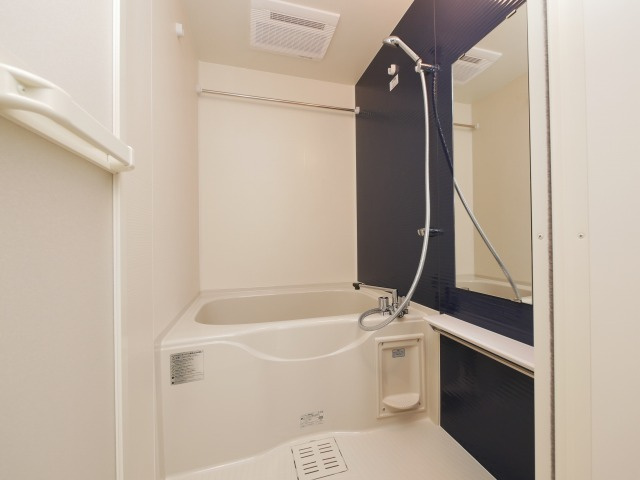 ジアコスモ難波南の浴室