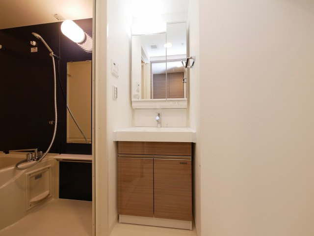 ジアコスモ難波南の洗面所