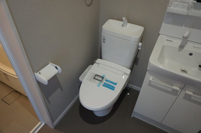 リビングライフ長瀬EASTⅡのトイレ|反転タイプです