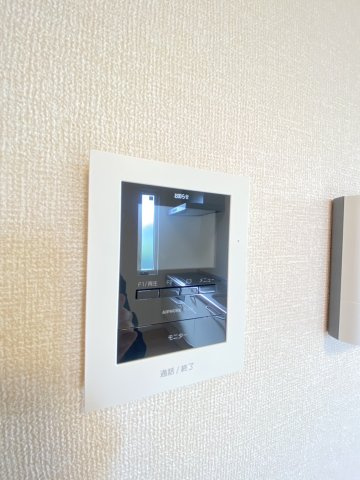 エバーグリーンのセキュリティ