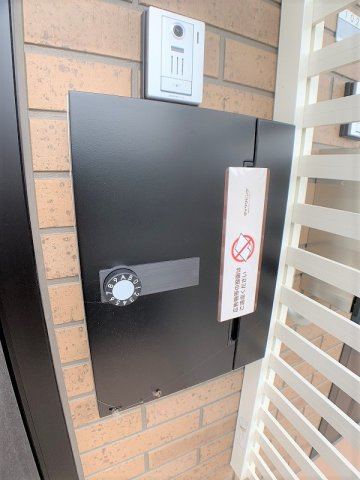 エバーグリーンのその他