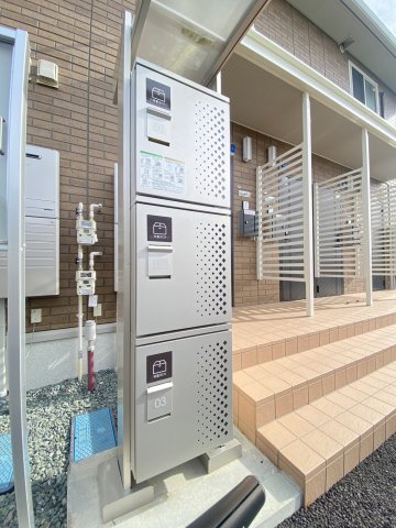 エバーグリーンのその他