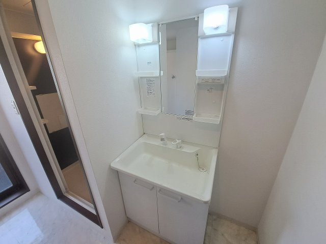 メゾン・ド・レグルスの洗面所