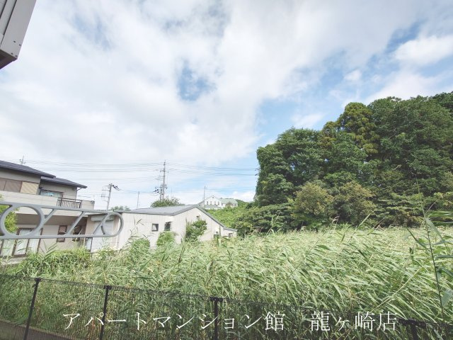 レオネクストピアの展望