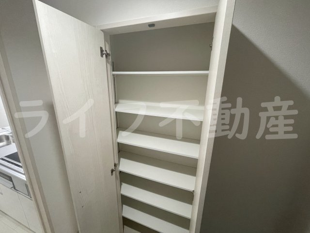 クリエオーレ菱江Ⅱの収納|大きなものも収納できそうです