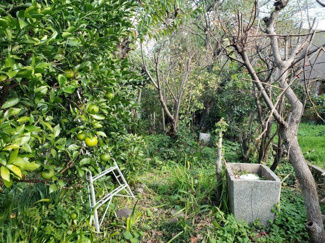 【外観】 | 鳥取市吉方町1丁目 土地