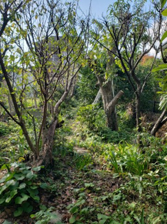 【外観】 | 鳥取市吉方町1丁目 土地