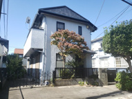 三鷹市井口４丁目の一戸建ての画像