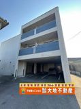 Holstの画像