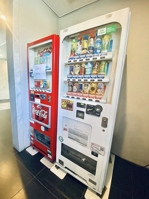 【その他共用部分】 | メゾン・ド・ヴィレ大阪城公園前