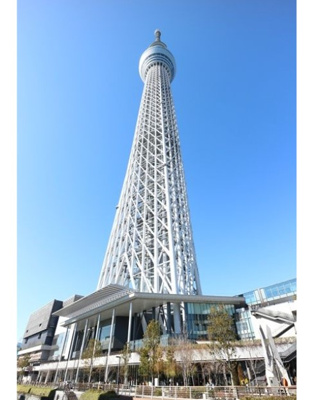 【周辺】 | エルファーロ押上