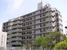 コスモ野洲の外観