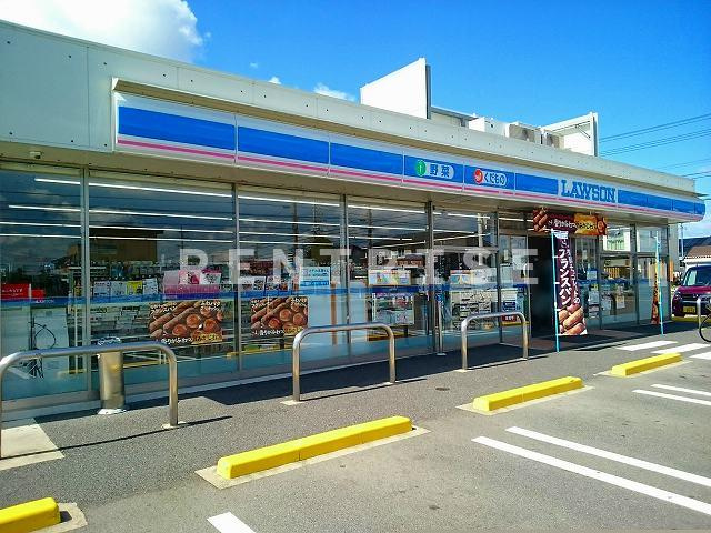 スアビスのその他