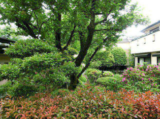 【周辺】 | 緑豊かな住環境。