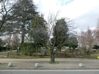 【周辺】 | 目の前に大きな窪東公園あります。