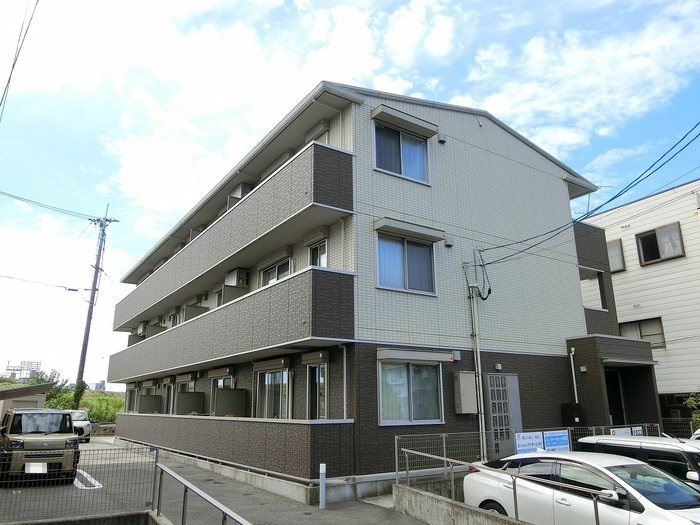 ステラの画像